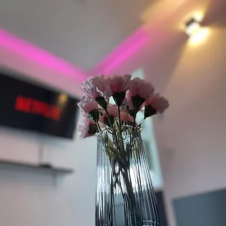 Moonpink - Basel - Airport - Highquality Apartamento