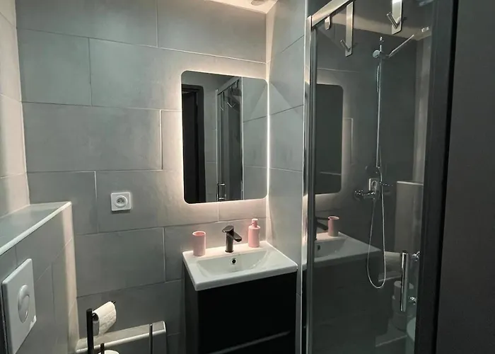 Moonpink - Basel - Airport - Highquality * Saint-Louis (Haut-Rhin)